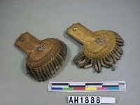 藏品(禮服用肩章)的圖片